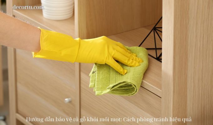 Hướng dẫn bảo vệ tủ gỗ khỏi mối mọt: Cách phòng tránh hiệu quả